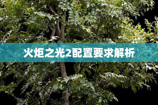 火炬之光2配置要求解析
