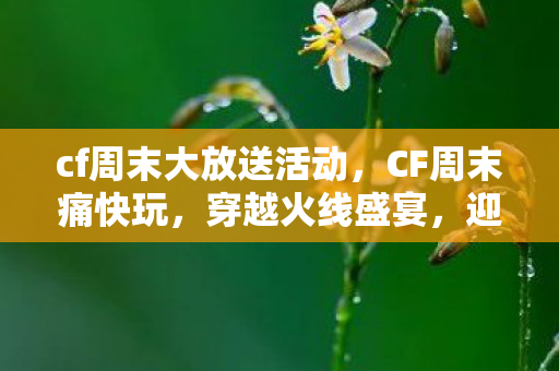 cf周末大放送活动，CF周末痛快玩，穿越火线盛宴，迎接11月的狂欢