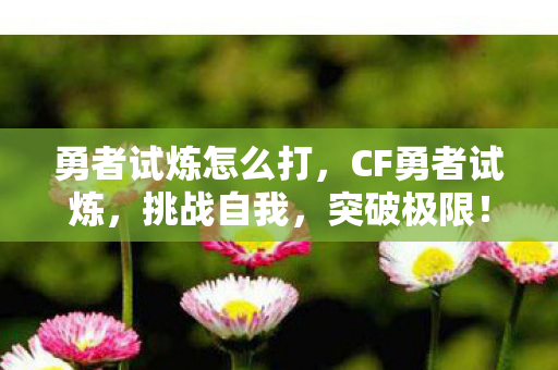 勇者试炼怎么打，CF勇者试炼，挑战自我，突破极限！