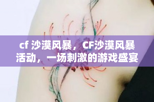 cf 沙漠风暴，CF沙漠风暴活动，一场刺激的游戏盛宴