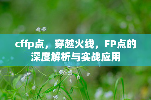 cffp点，穿越火线，FP点的深度解析与实战应用