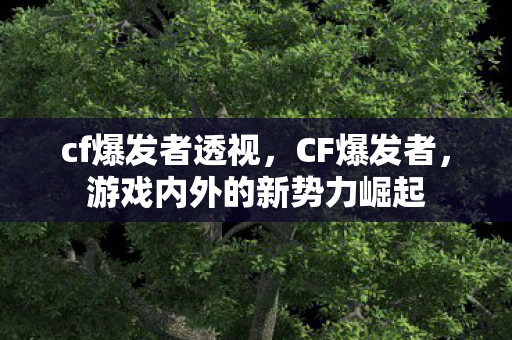 cf爆发者透视，CF爆发者，游戏内外的新势力崛起