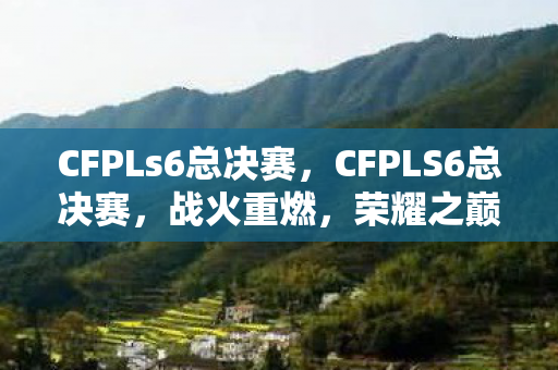 CFPLs6总决赛，CFPLS6总决赛，战火重燃，荣耀之巅的决战