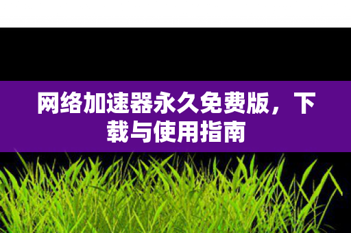 网络加速器永久免费版，下载与使用指南