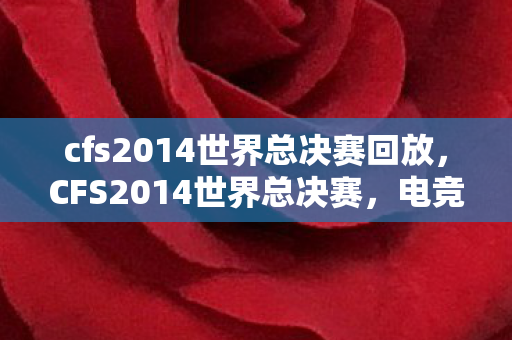 cfs2014世界总决赛回放，CFS2014世界总决赛，电竞巅峰之战的荣耀时刻