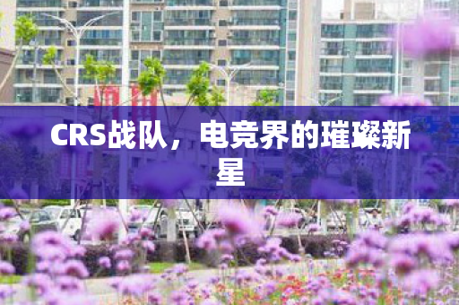 CRS战队，电竞界的璀璨新星