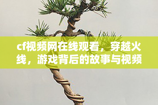 cf视频网在线观看，穿越火线，游戏背后的故事与视频内容解析