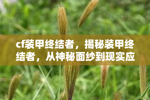 cf装甲终结者，揭秘装甲终结者，从神秘面纱到现实应用