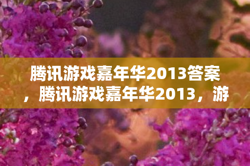 腾讯游戏嘉年华2013答案，腾讯游戏嘉年华2013，游戏盛宴，引领行业新潮流