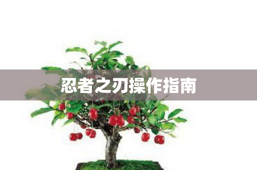 忍者之刃操作指南