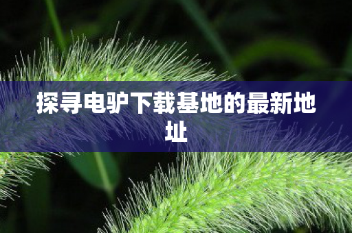 探寻电驴下载基地的最新地址