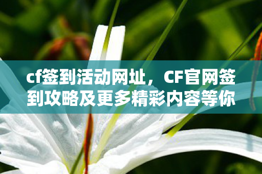 cf签到活动网址，CF官网签到攻略及更多精彩内容等你来探索