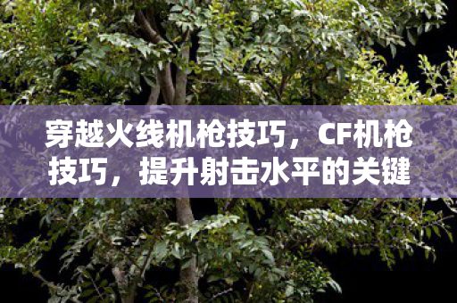 穿越火线机枪技巧，CF机枪技巧，提升射击水平的关键要素