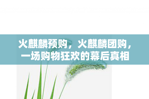 火麒麟预购，火麒麟团购，一场购物狂欢的幕后真相