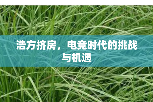 浩方挤房，电竞时代的挑战与机遇