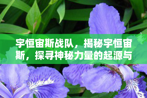 宇恒宙斯战队，揭秘宇恒宙斯，探寻神秘力量的起源与影响