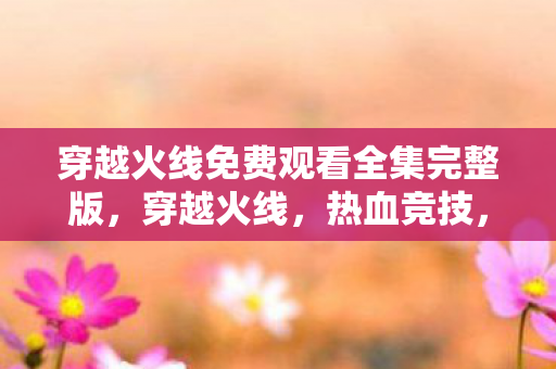 穿越火线免费观看全集完整版，穿越火线，热血竞技，免费观看