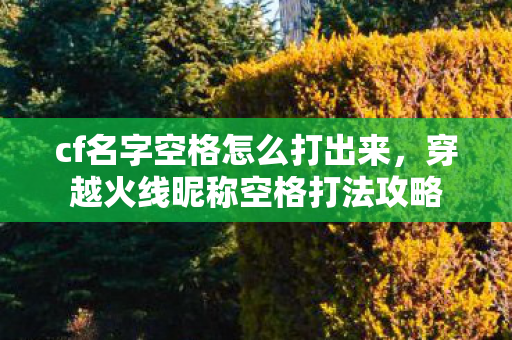 cf名字空格怎么打出来，穿越火线昵称空格打法攻略