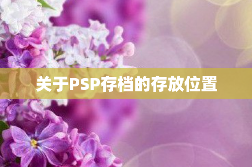 关于PSP存档的存放位置