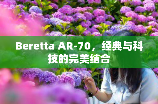 Beretta AR-70，经典与科技的完美结合