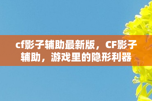 cf影子辅助最新版，CF影子辅助，游戏里的隐形利器
