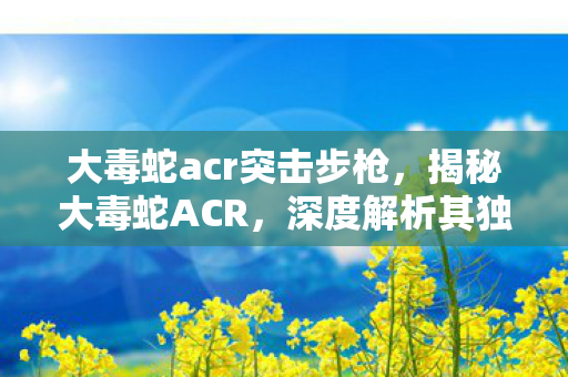 大毒蛇acr突击步枪，揭秘大毒蛇ACR，深度解析其独特魅力与性能优势