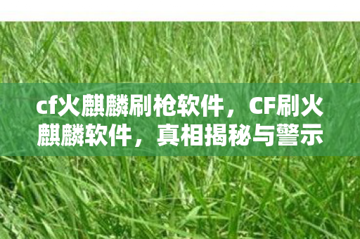 cf火麒麟刷枪软件，CF刷火麒麟软件，真相揭秘与警示