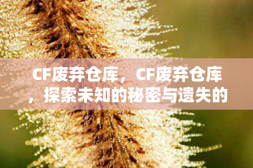 CF废弃仓库，CF废弃仓库，探索未知的秘密与遗失的宝藏