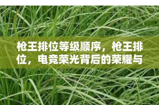 枪王排位等级顺序，枪王排位，电竞荣光背后的荣耀与挑战