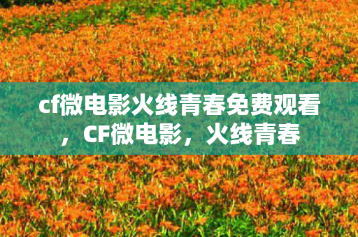 cf微电影火线青春免费观看，CF微电影，火线青春