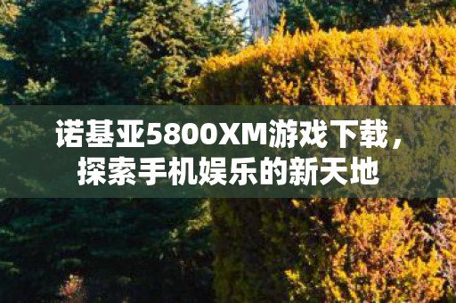 诺基亚5800XM游戏下载，探索手机娱乐的新天地