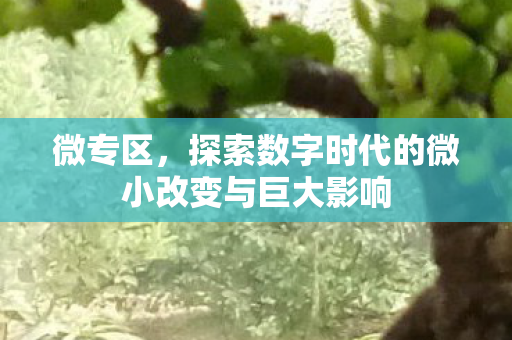 微专区，探索数字时代的微小改变与巨大影响