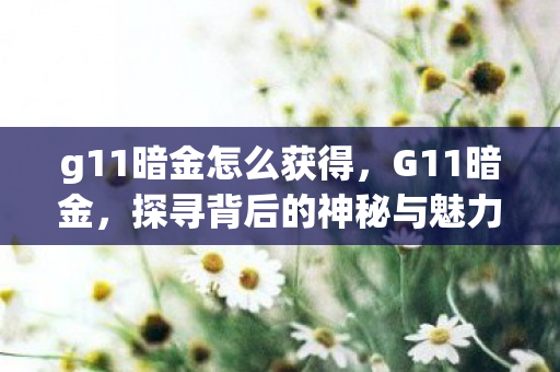 g11暗金怎么获得，G11暗金，探寻背后的神秘与魅力