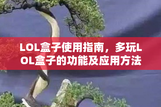 LOL盒子使用指南，多玩LOL盒子的功能及应用方法