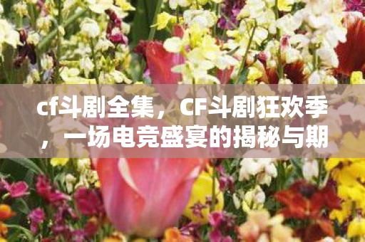 cf斗剧全集，CF斗剧狂欢季，一场电竞盛宴的揭秘与期待