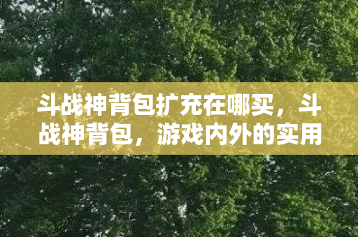 斗战神背包扩充在哪买，斗战神背包，游戏内外的实用助手