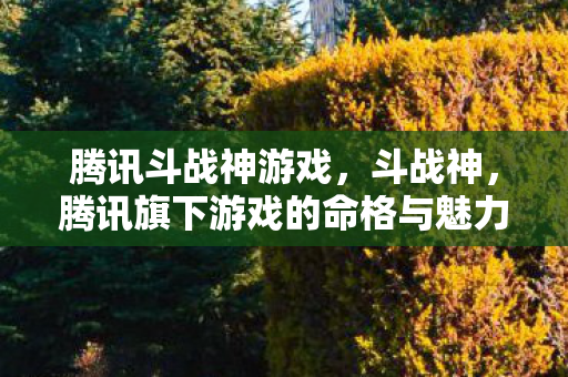 腾讯斗战神游戏，斗战神，腾讯旗下游戏的命格与魅力
