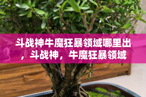 斗战神牛魔狂暴领域哪里出，斗战神，牛魔狂暴领域
