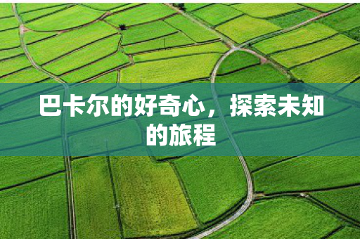 巴卡尔的好奇心，探索未知的旅程