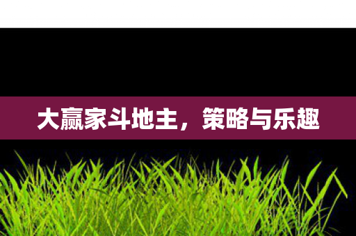 大赢家斗地主，策略与乐趣