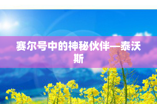 赛尔号中的神秘伙伴—泰沃斯