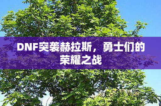 DNF突袭赫拉斯，勇士们的荣耀之战