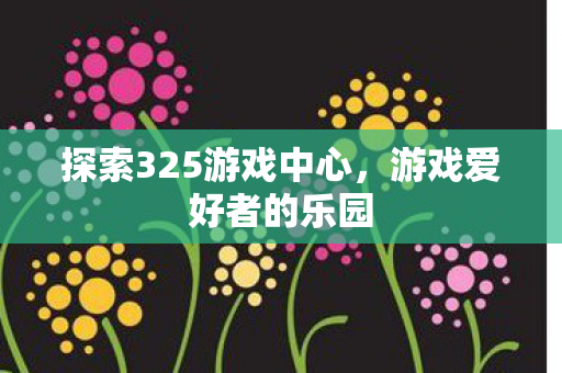 探索325游戏中心，游戏爱好者的乐园