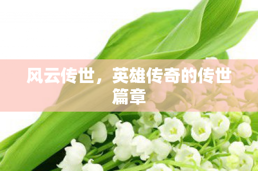 风云传世，英雄传奇的传世篇章