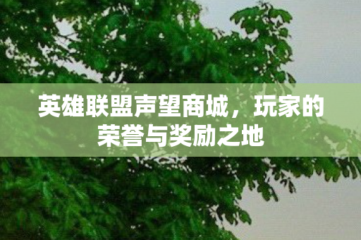 英雄联盟声望商城，玩家的荣誉与奖励之地