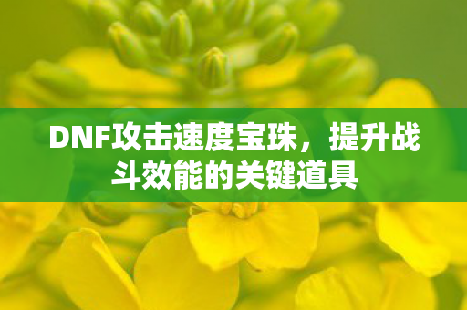 DNF攻击速度宝珠，提升战斗效能的关键道具