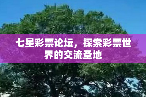 七星彩票论坛，探索彩票世界的交流圣地