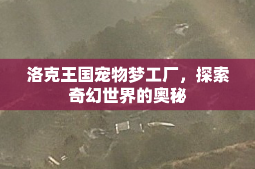 洛克王国宠物梦工厂，探索奇幻世界的奥秘