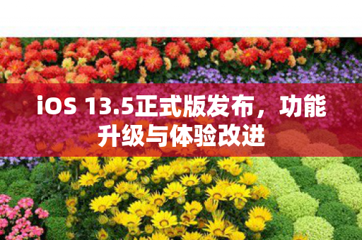 iOS 13.5正式版发布，功能升级与体验改进