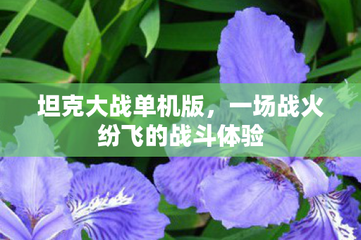 坦克大战单机版，一场战火纷飞的战斗体验